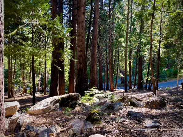 3285 Pocatello Cir, Camp Connell, CA 95223