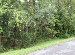 15729 Larkspur St, Orlando, FL 32828
