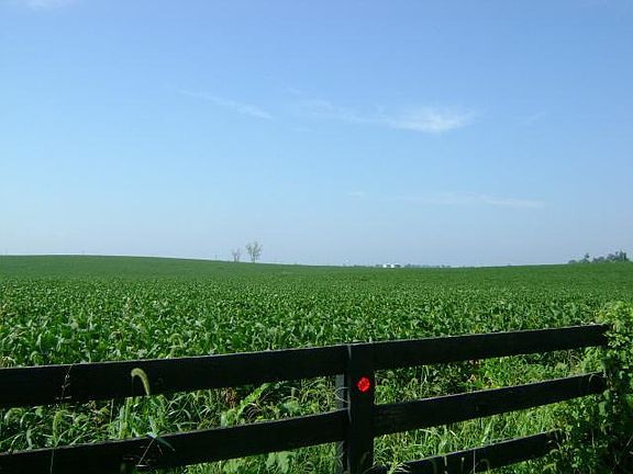 3rd image of 532 Bailey Pike
