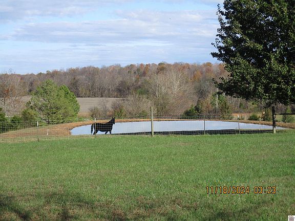 3rd image of 73 Skinner Creek Rd
