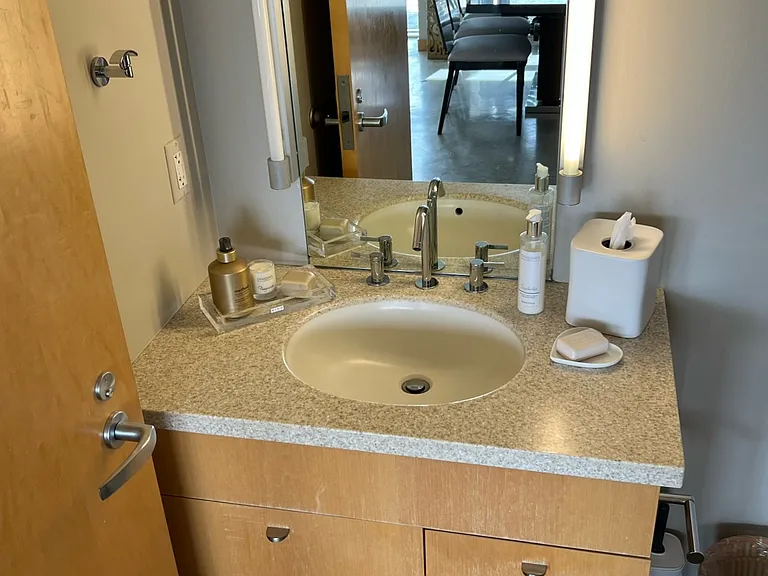 221 E College St #1203 — Photo 9