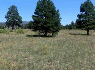 108 Old Sawmill Rd, Luna, NM 87824