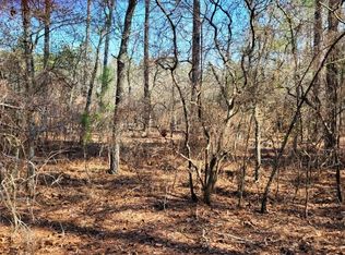 218 Catherine Dr, Pelion, SC 29123