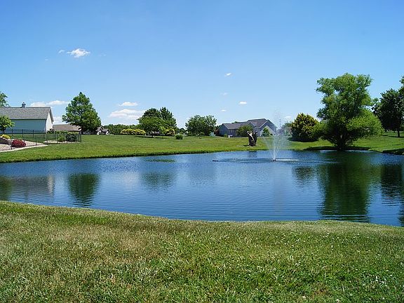 Pond