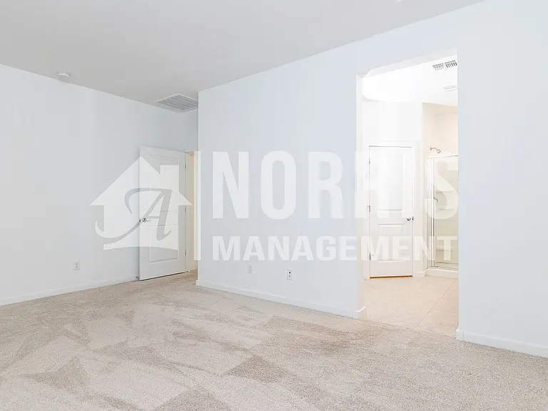 247 S San Gregorio Ln — Photo 18