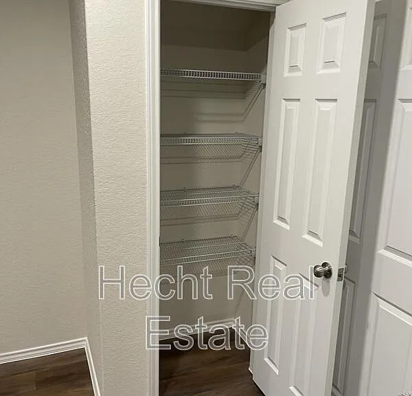451 Forsythia — Photo 20