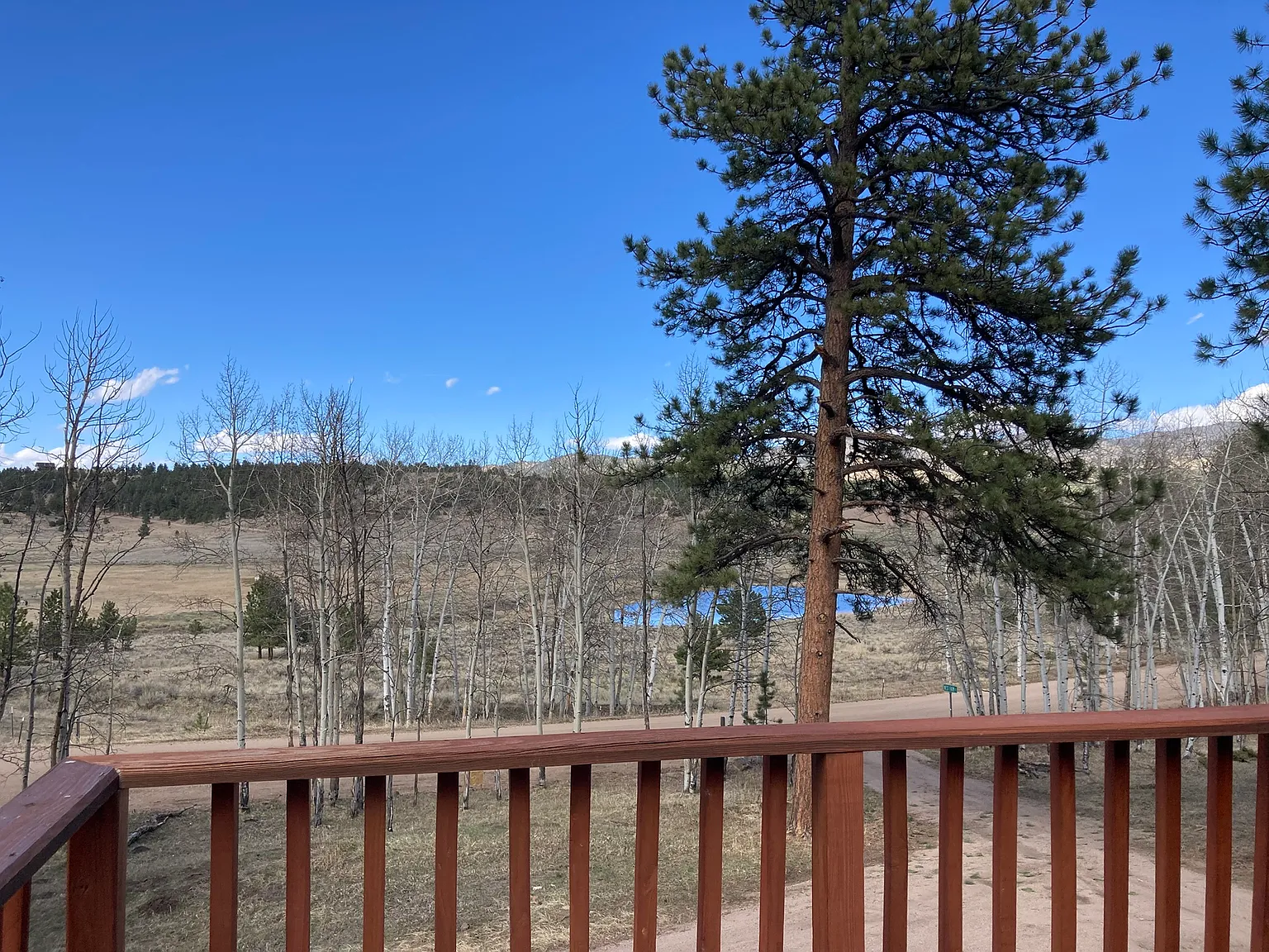 2 bed, 1500 sqft, $1,800 — Photo 3