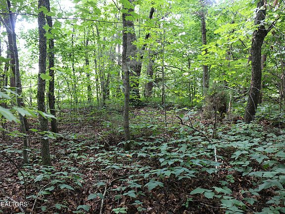 4th image of 1 County Road 892