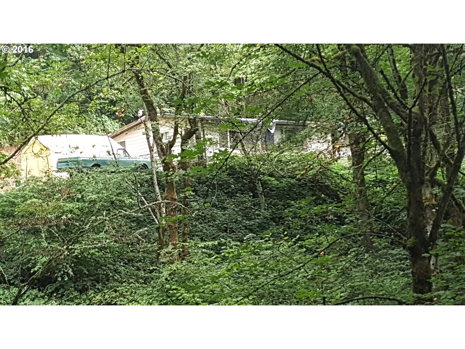 9710 SE 222nd Dr photo 1