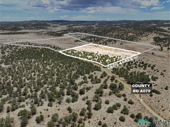 Zz Slurry Rd, Pie Town, NM 87827