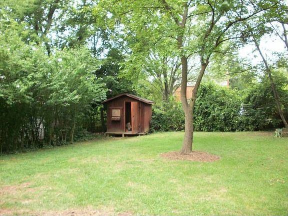 Back yard with shed