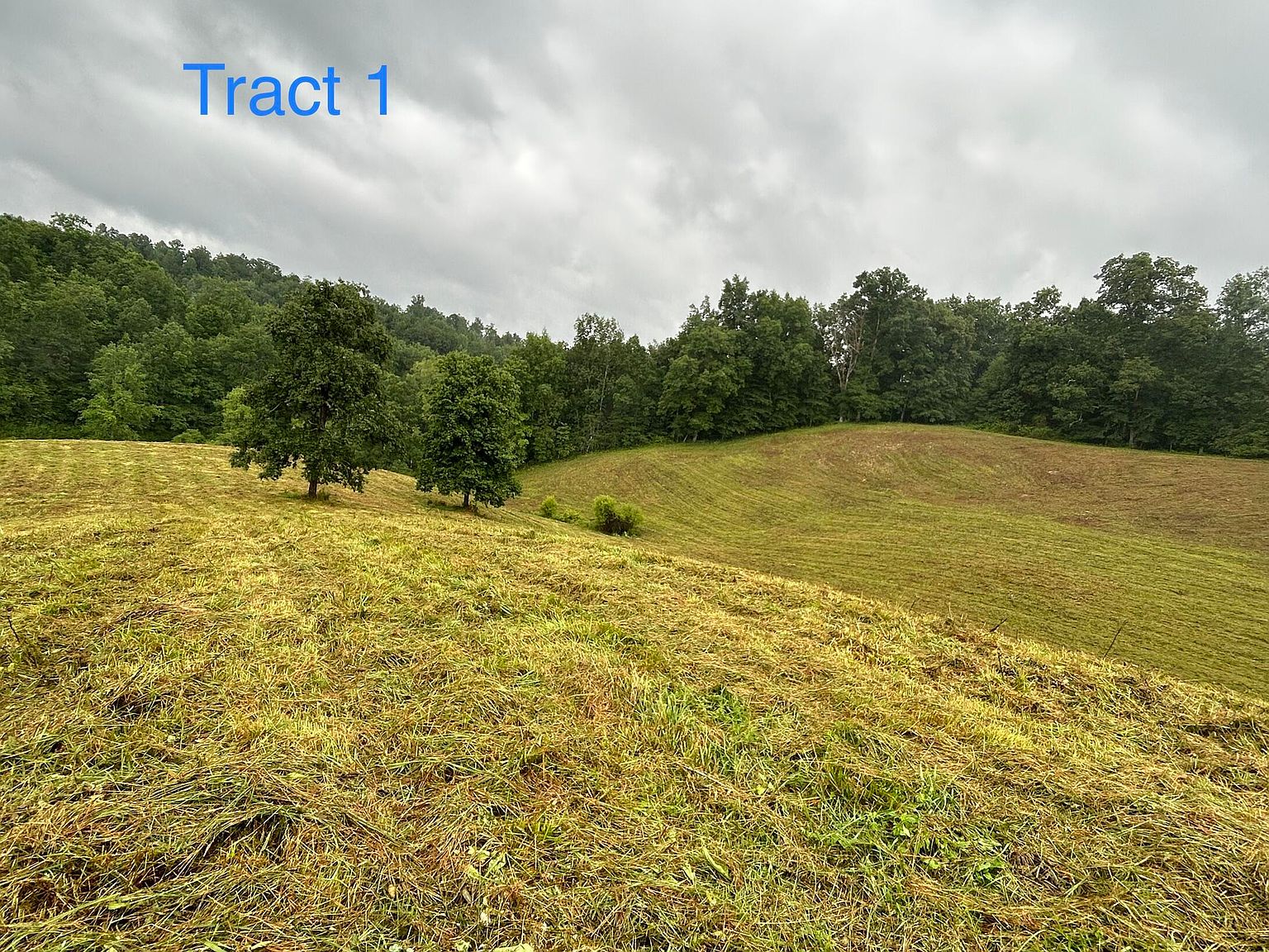 1 Langdon Branch Rd, Annville, KY 40402 Zillow