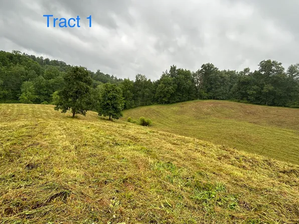 1 Langdon Branch Rd, Annville, KY 40402