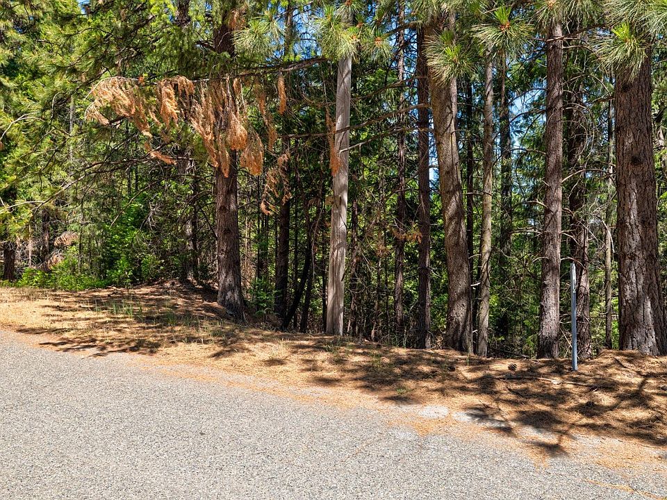6987 Pioneer Dr, Grizzly Flats, CA 95636 MLS 223060740 Zillow