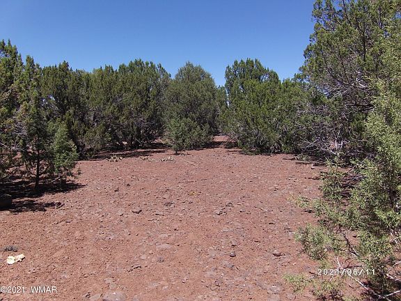 3rd image of 1886 White Tail Pl