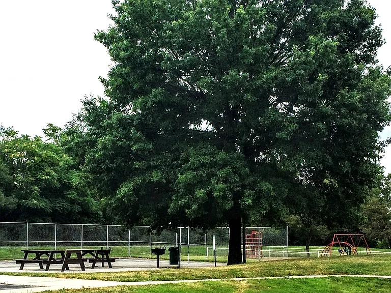 Oak Tree Village — Photo 11
