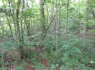 Stone Ridge Way, Lewisburg, WV 24901