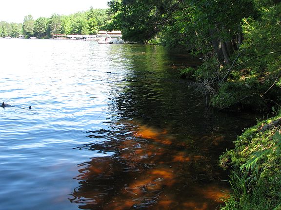 Shoreline view 