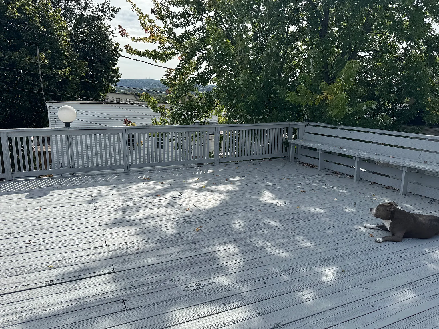 1504 Church Ave — Photo 2