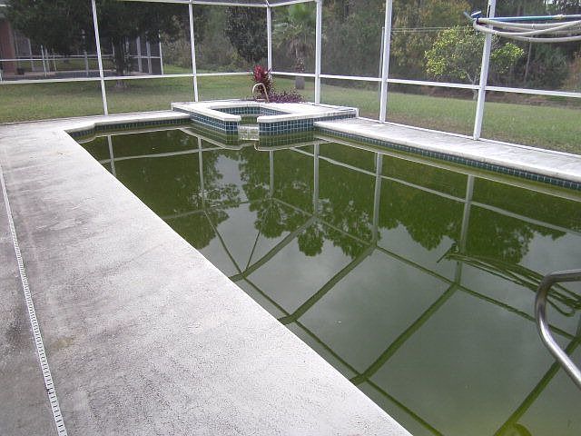 2nd image of 137 Brittany Ln