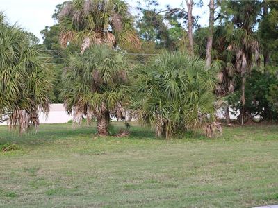 36 Jenny Way, New Port Richey, FL, 34652