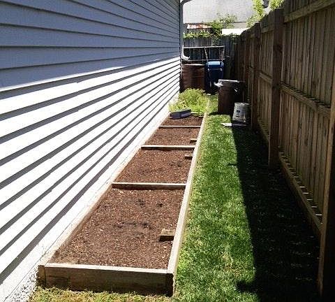Vegetable Garden with Rain Barrel