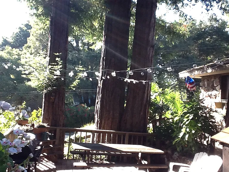 Hidden Dr — Photo 9