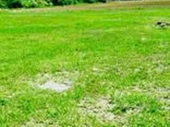 0 N Cabrio Way, Headland, AL 36345