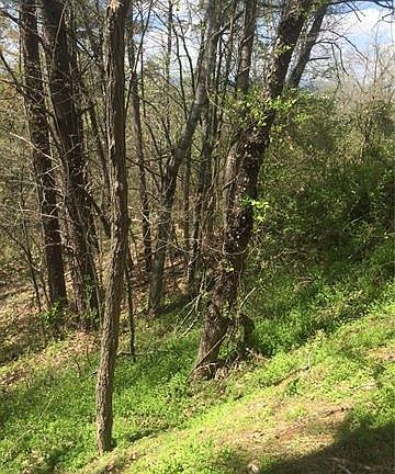 4th image of 46 Crest Circle Dr