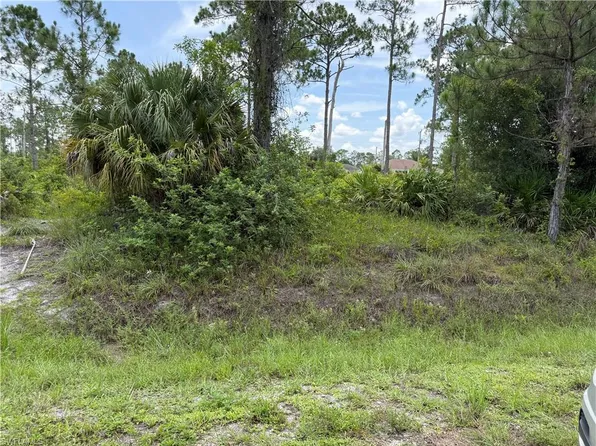 316 Canton AVE, LEHIGH ACRES, FL 33936