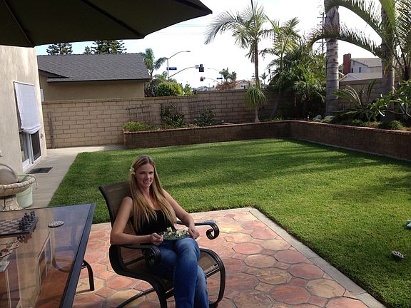 Part of back w/ Palm Trees