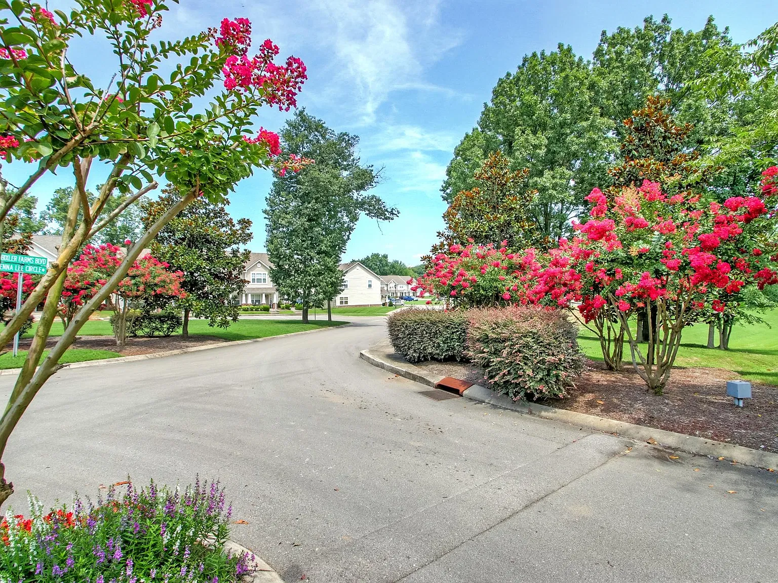 2 bed, 2.5 bath, 1202 sqft, $1,650 — Photo 4