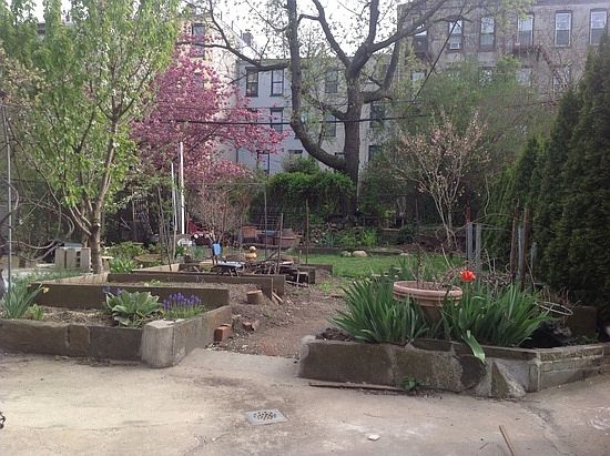 2nd image of 248F Saint Marks Ave
