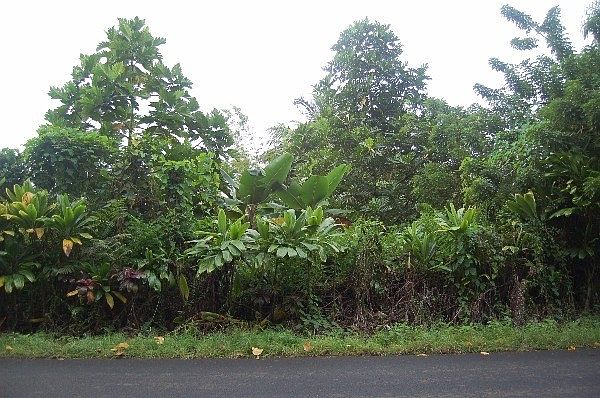 1st image of Malama St Lot 23