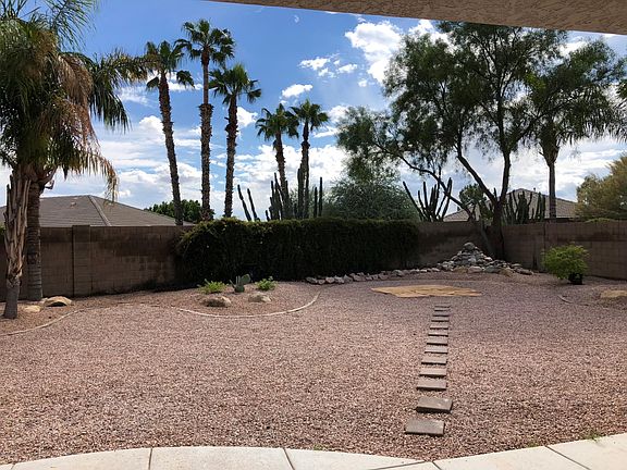 backyard2