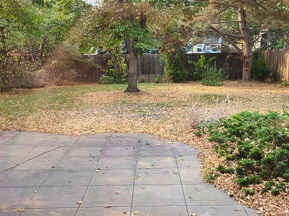 Fenced back yard