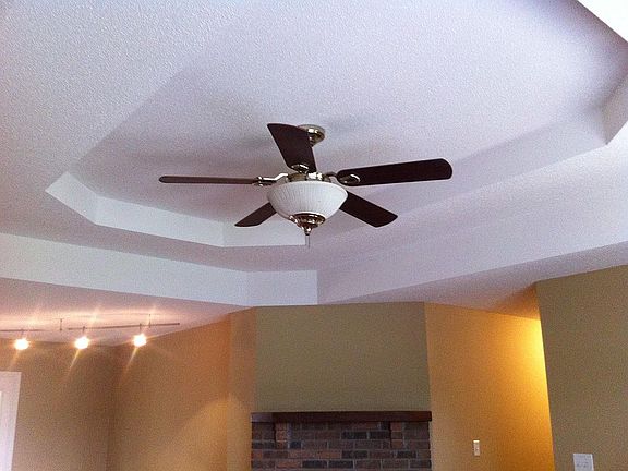 Tray Ceiling LR