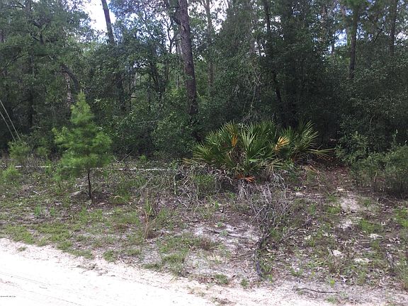 3rd image of 153 Lakeside Blvd