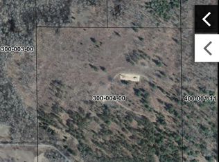 850 E McKimmey Rd, Gladwin, MI 48624