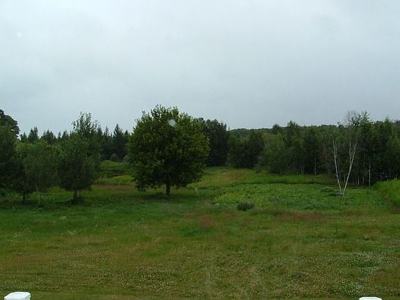Wooded back yard with small pond