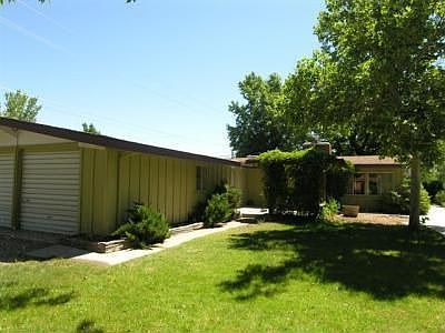Front yard 2