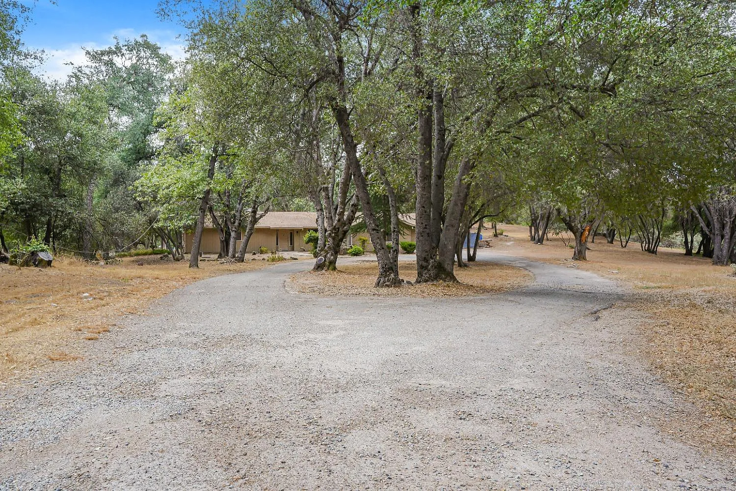 51152 Road 423 photo 1