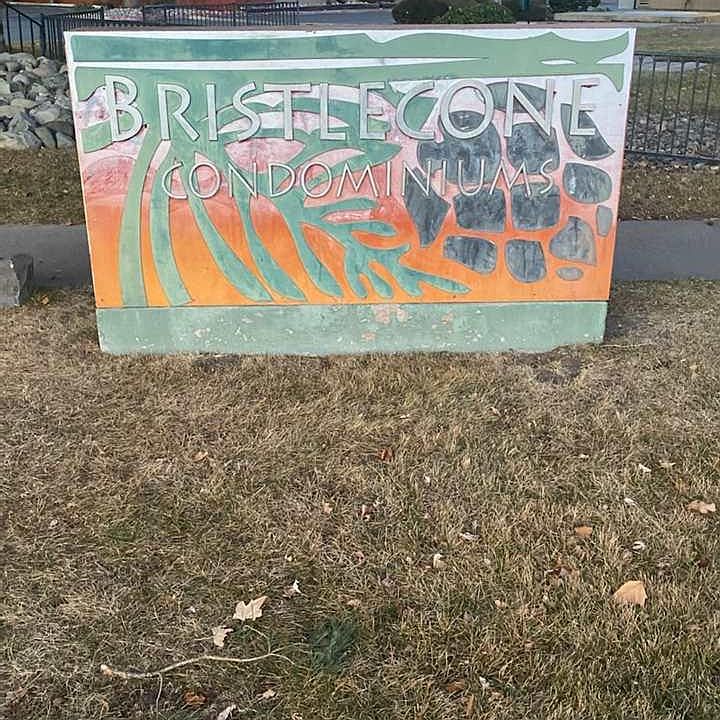 1st image of 3159 Bristle Branch Dr