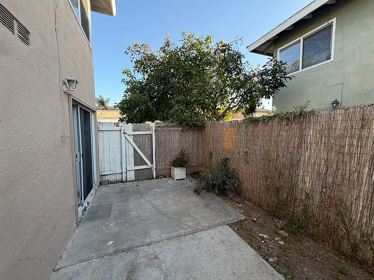 Back yard space