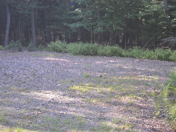 4th image of LOT 7 Lot 7