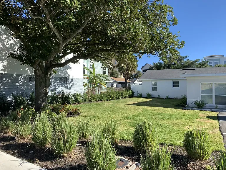 North side of the property with large magnolia tree