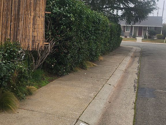 3rd image of 3438 Marjorie Way