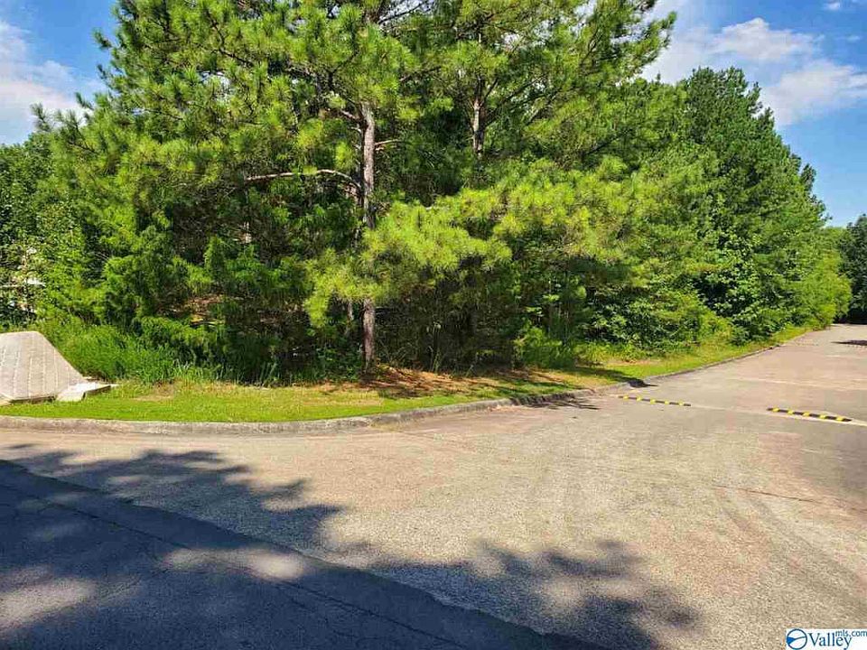 2nd image of 0 Bob Jones Rd