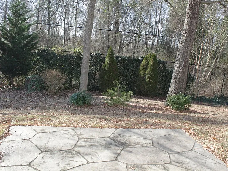 Patio and Backyard