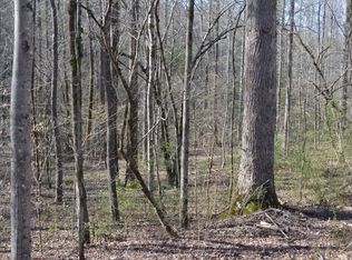 Tom Henry Rd, Townsend, TN 37882